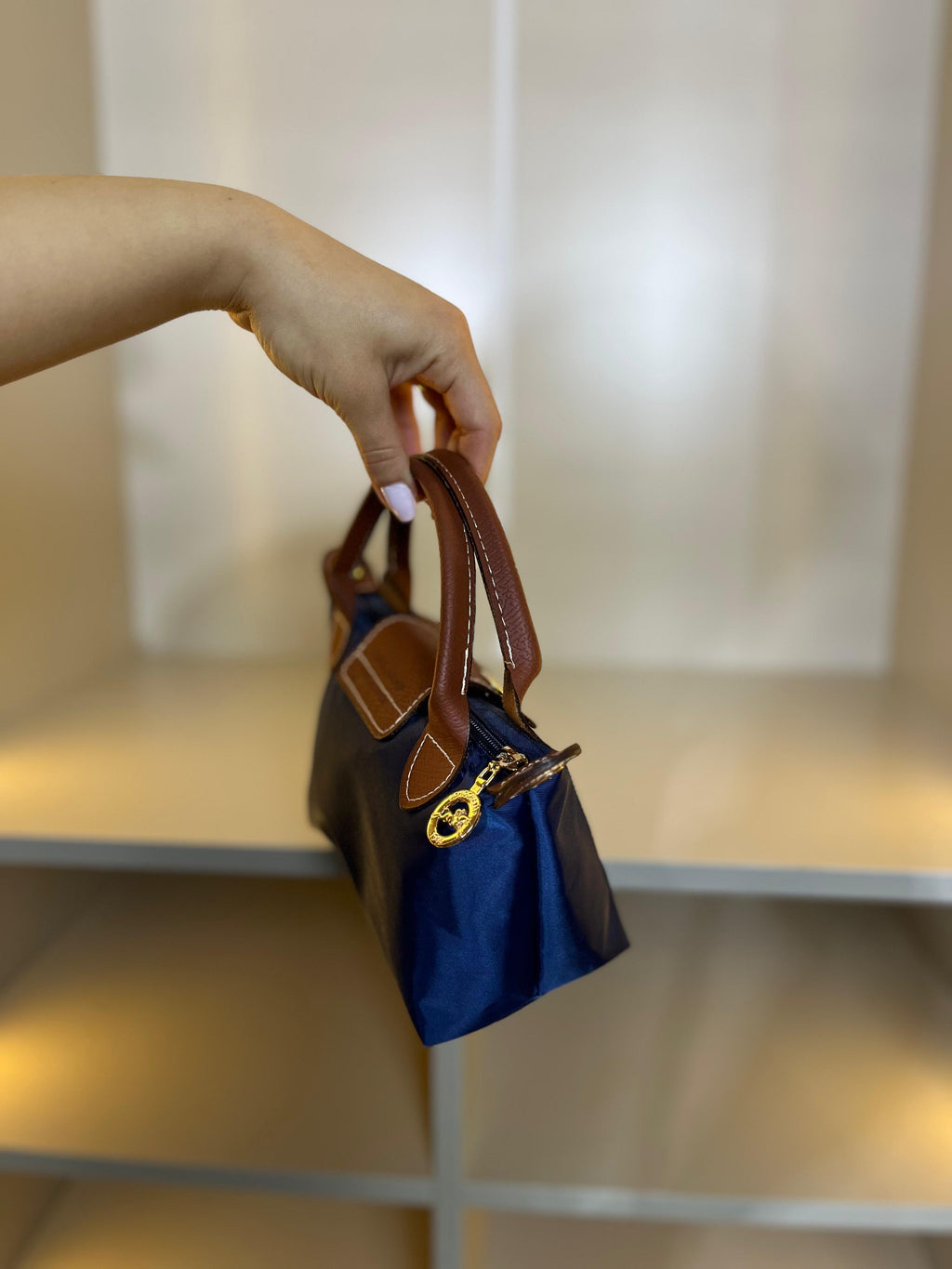 Longchamp Le Pliage Bag
