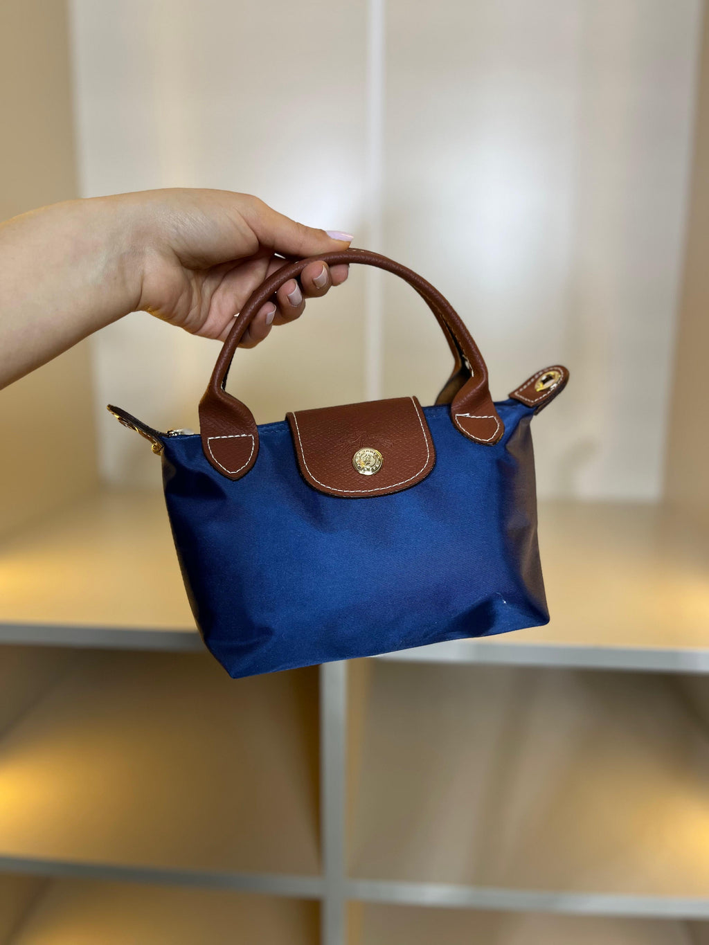 Longchamp Le Pliage Bag
